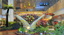 003-Singapur-Shangi-Airport