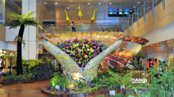 003-Singapur-Shangi-Airport