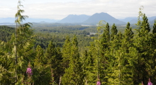 025-Kanada-Vancouver-Island-Pacific-Rim-1
