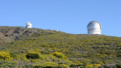 067-La Palma-Sternwarten-5