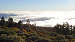 073-La Palma-Wolken