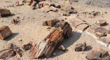 088-Namibia-Khorixas-Versteinerter Wald