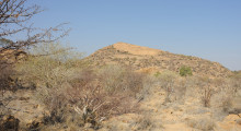 098-Namibia-Phillips-Hoehle