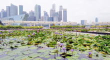 102-Singapur-City-23