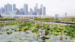 102-Singapur-City-23