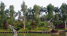 104-Singapur-Gardens-by-the-Bay-1