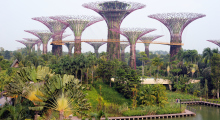 105-Singapur-Supertree-Grove-1