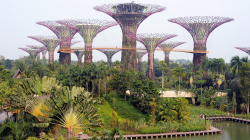 105-Singapur-Supertree-Grove-1