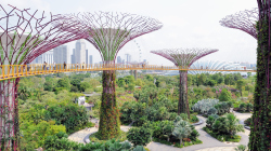 106-Singapur-Supertree-Grove-2