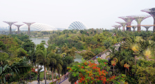 112-Singapur-Gardens-by-the-Bay-3