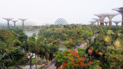 112-Singapur-Gardens-by-the-Bay-3