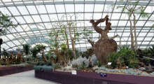 113-Singapur-Gardens-by-the-Bay-4