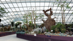 113-Singapur-Gardens-by-the-Bay-4