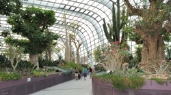 114-Singapur-Gardens-by-the-Bay-5