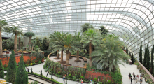 117-Singapur-Gardens-by-the-Bay-8