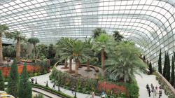 117-Singapur-Gardens-by-the-Bay-8
