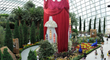 118-Singapur-Gardens-by-the-Bay-9
