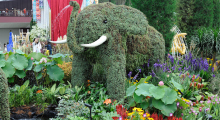 119-Singapur-Gardens-by-the-Bay-10