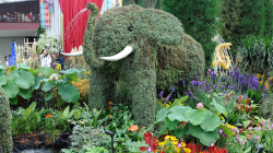 119-Singapur-Gardens-by-the-Bay-10