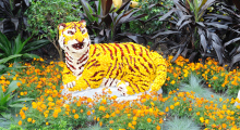 120-Singapur-Gardens-by-the-Bay-11