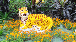 120-Singapur-Gardens-by-the-Bay-11