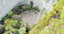125-Singapur-Gardens-by-the-Bay-16