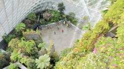 125-Singapur-Gardens-by-the-Bay-16