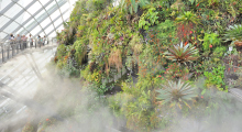 126-Singapur-Gardens-by-the-Bay-17