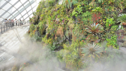 126-Singapur-Gardens-by-the-Bay-17