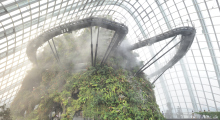 127-Singapur-Gardens-by-the-Bay-18