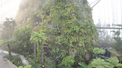 128-Singapur-Gardens-by-the-Bay-19