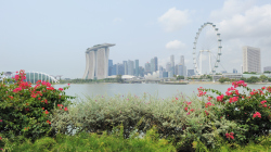 130-Singapur-City-25