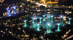 144-Singapur-Supertree-Grove-Nacht-1