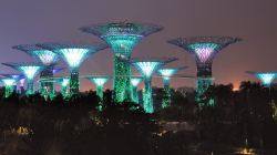 145-Singapur-Supertree-Grove-Nacht-2