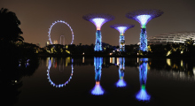 146-Singapur-Supertree-Grove-Nacht-3