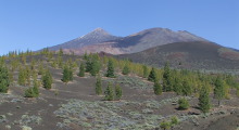IMG_0510