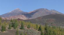 IMG_0511