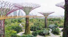 106-Singapur-Supertree-Grove-2