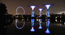 146-Singapur-Supertree-Grove-Nacht-3