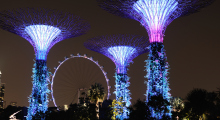 147-Singapur-Supertree-Grove-Nacht-4