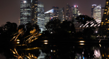 150-Singapur-Gardens-by-the-Bay-Nacht-4